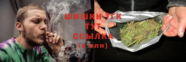 сатива Абинск