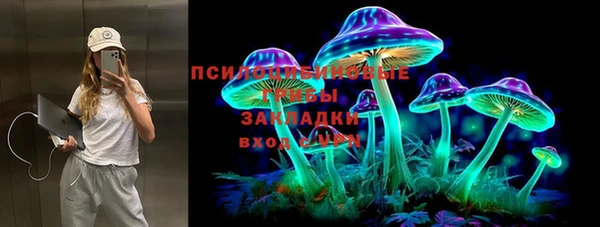 ECSTASY Абаза