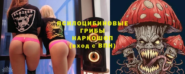 сатива Абинск