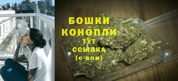 сатива Абинск