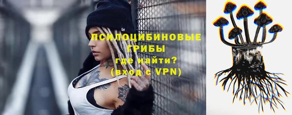 сатива Абинск