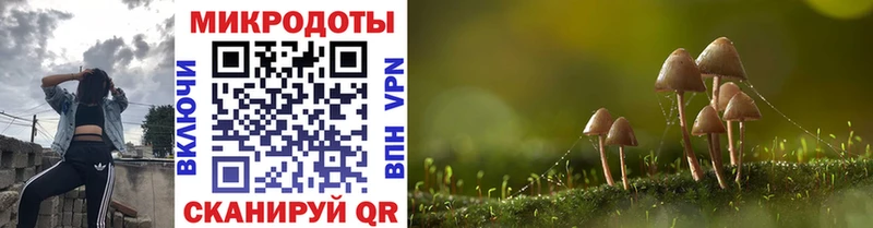 купить наркотики сайты  Ростов-на-Дону  Галлюциногенные грибы мухоморы 